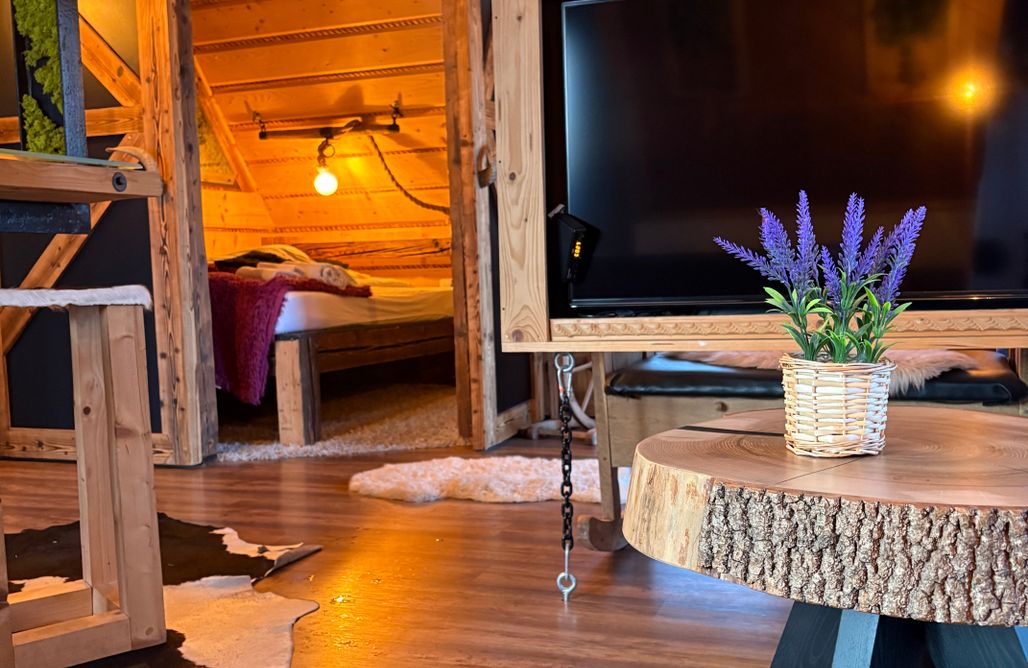AlohaCamp Viking - apartament z widokiem na góry i jacuzzi 4