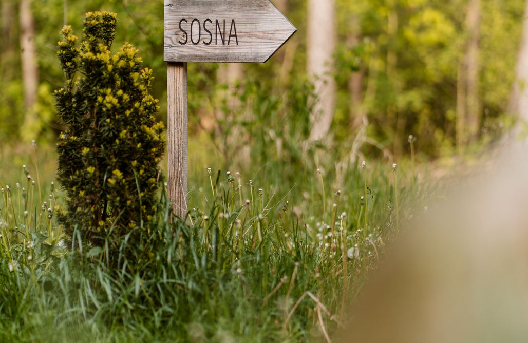 AlohaCamp Dom Sosna 1