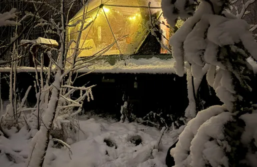 Zdjęcie obiektu Vegan House