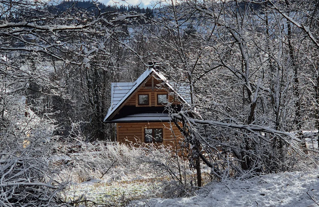 Domek Z Jacuzzi Zakopane Domki pod lasem Orawskie Ranczo 2