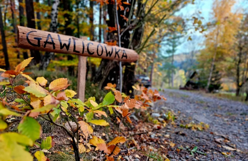 Domek na Sylwestra 8 Osób Gawlicówka  1