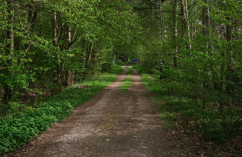 AlohaCamp Szumi las, szumi morze - przyczepa kempingowa 1