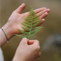 Grażyna gospodarz Weranda Dom
