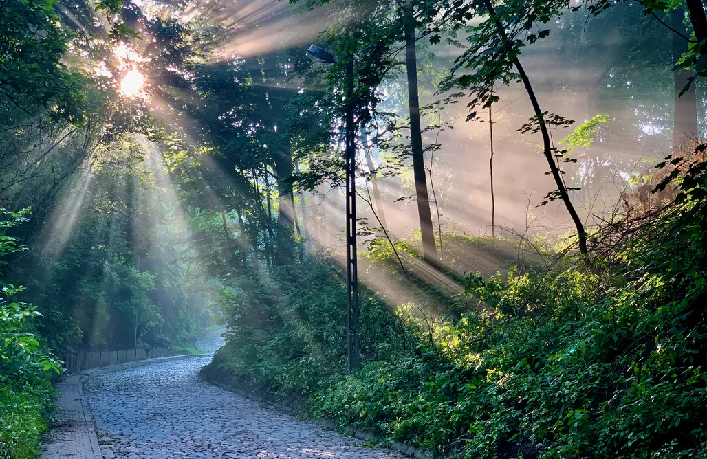 AlohaCamp accommodation Dom na zamkowej 1