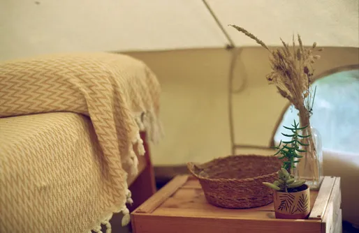 Imagen de Glamping en el bosque