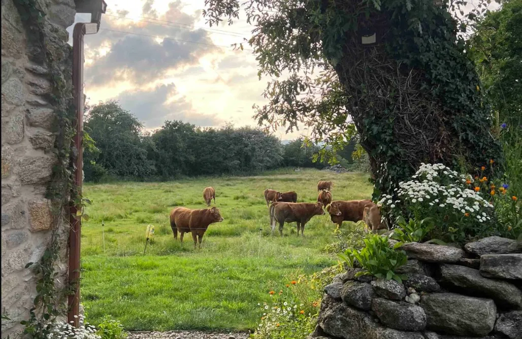 AlohaCamp accommodation The Land of Eve 4
