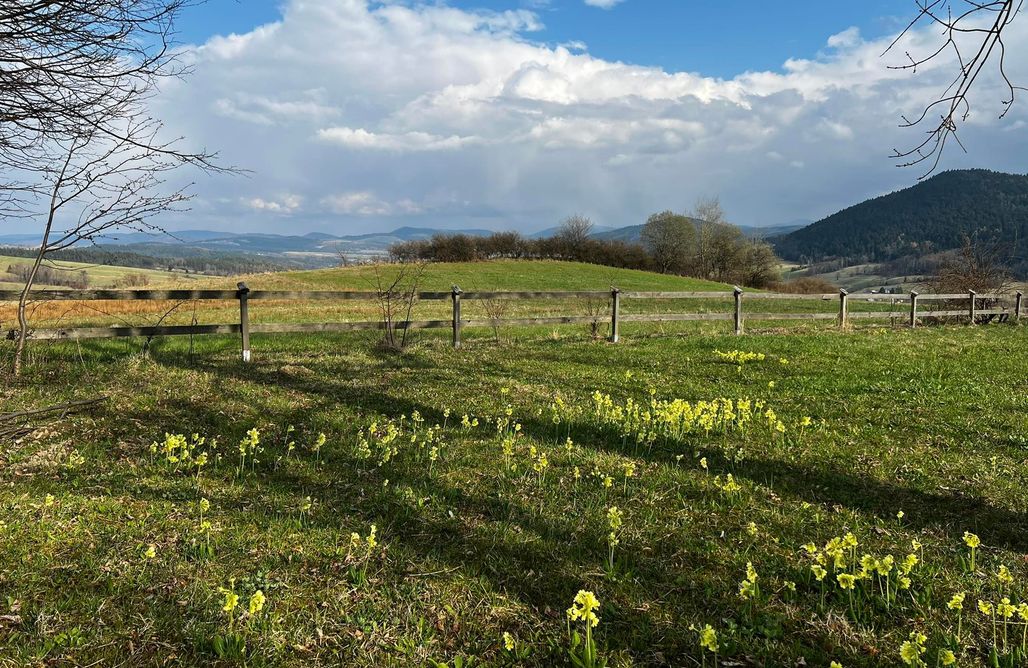 AlohaCamp accommodation Binczarowa 228 1