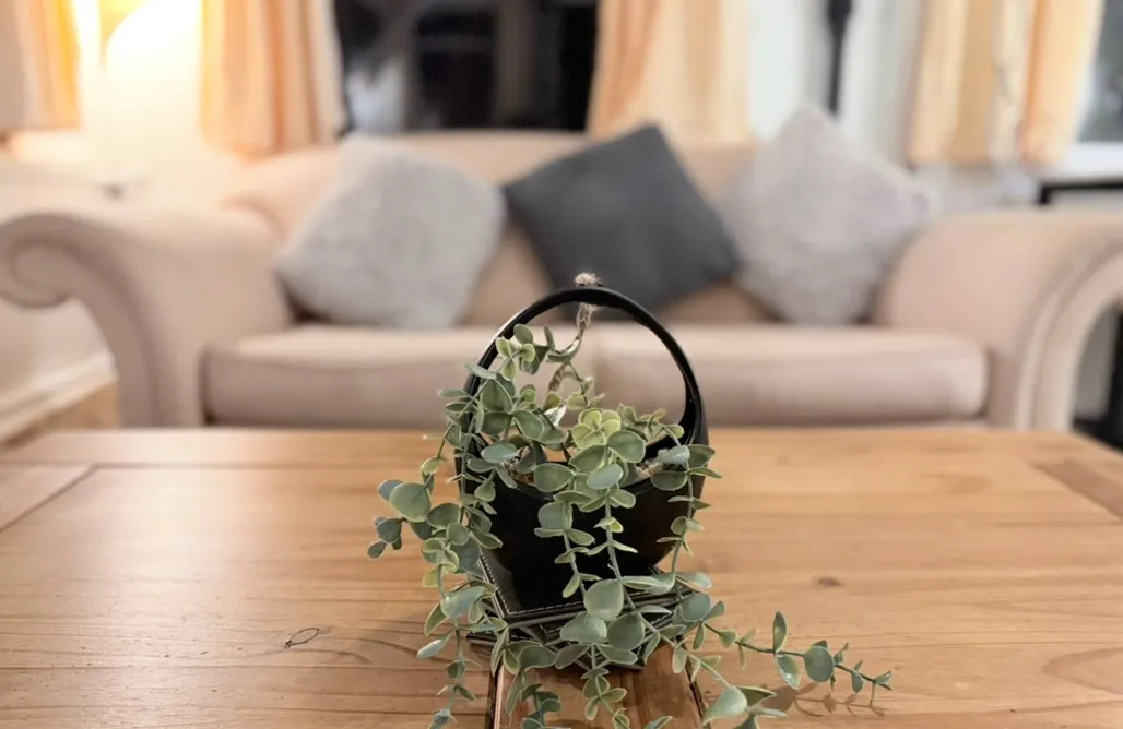 Hot Tub-The Cosy Cwtch AlohaCamp