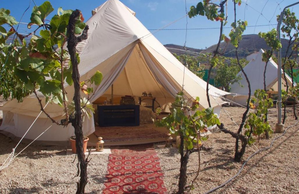 Camping de lujo Vineyard Eladio 2
