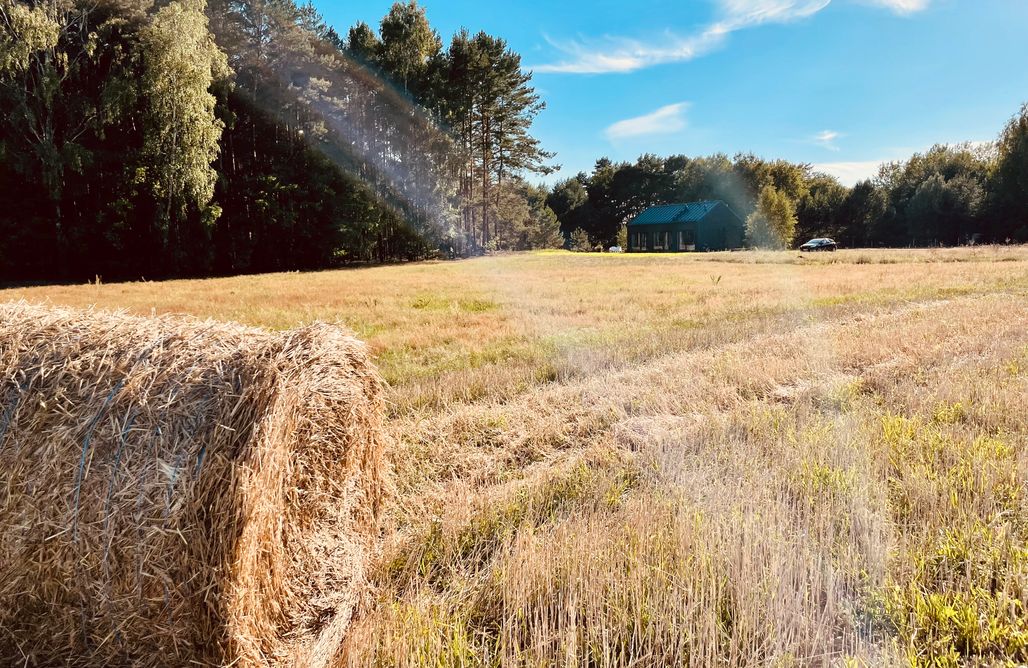 noclegi AlohaCamp Dom Blisko Lasu 1