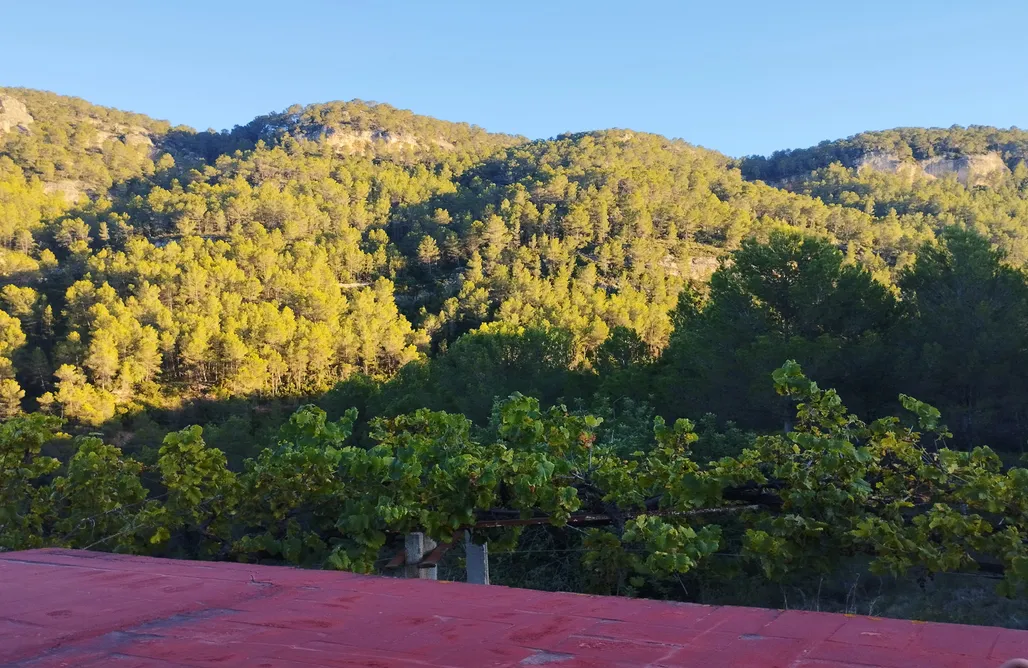 AlohaCamp Habitación Con Terraza 4