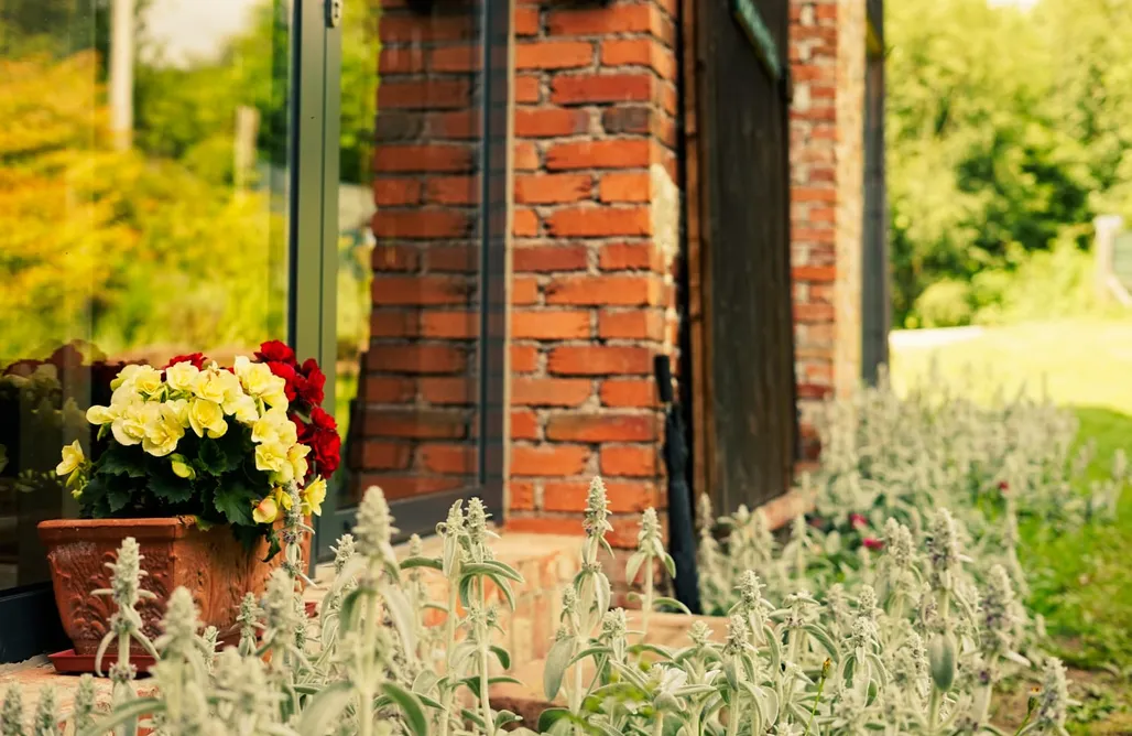 Wałbrzych noclegi z wyżywieniem Koko Ryku 1