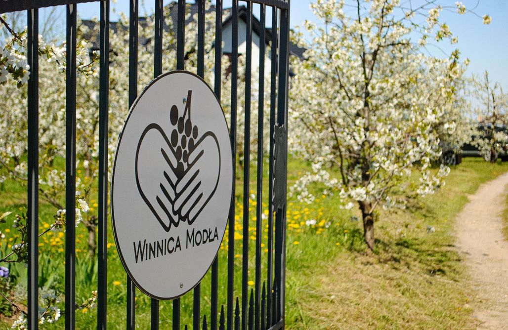 Pole namiotowe Karpaty Miejsce kamperowe - Winnica Modła 2