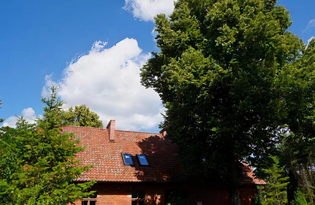 Alloggi AlohaCamp Klonówka 5