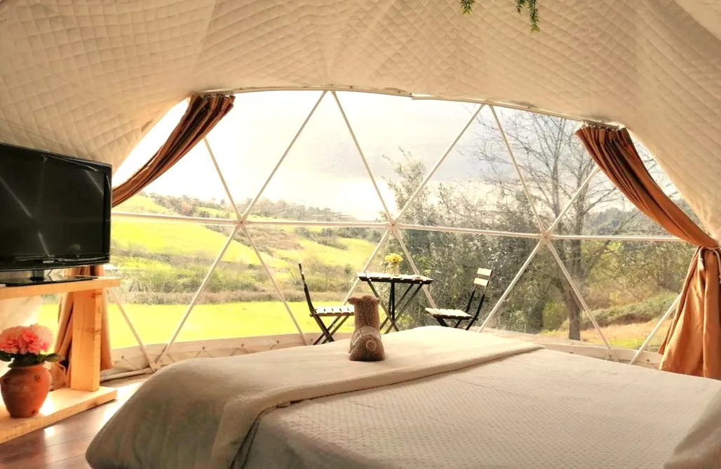 AlohaCamp Cúpula en la Naturaleza 4