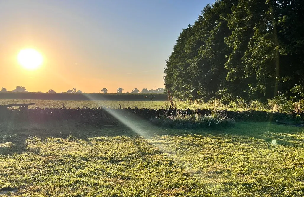 Pole Namiotowe Zakopane Miejsce kamperowo-namiotowe Siedlisko Przylesie 2
