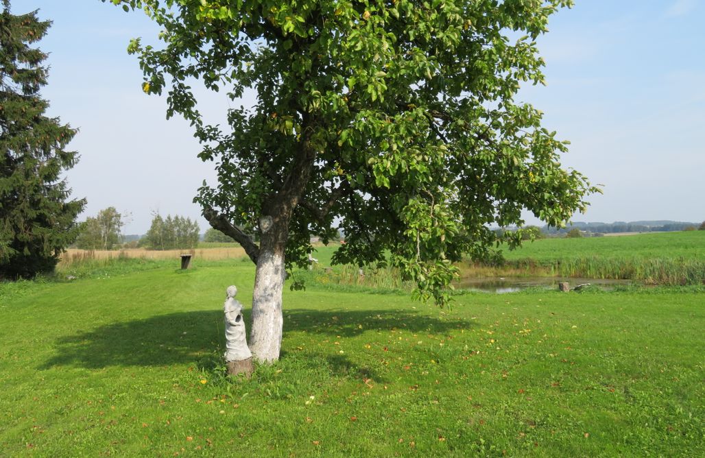 AlohaCamp Miejsce dla kamperów, przyczep lub pod namiot 1 2