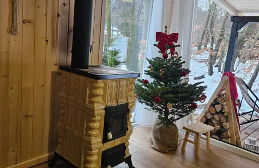 Zdjęcie obiektu Domek Pod Bukiem 