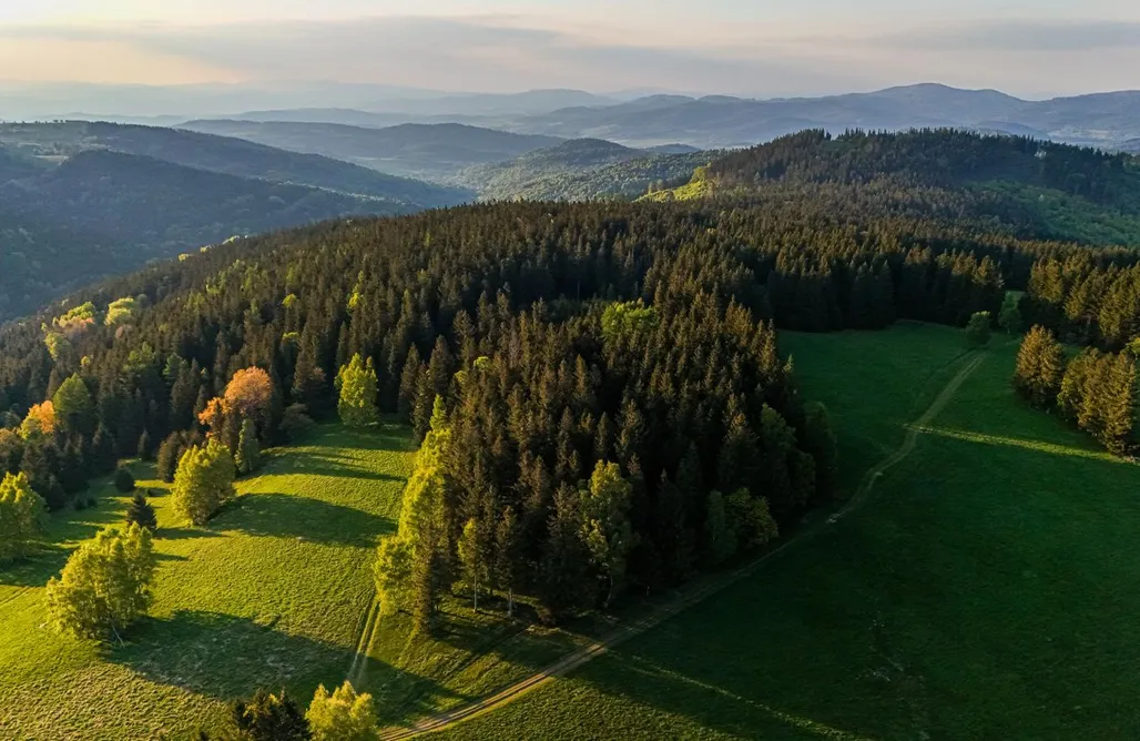 Góry Stołowe Noclegi Domek szeregowy Przyjacielówka Ekstra 2  1