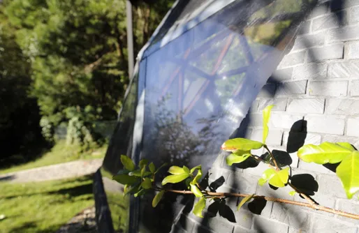 Imagen de Domo geodésico Romántico