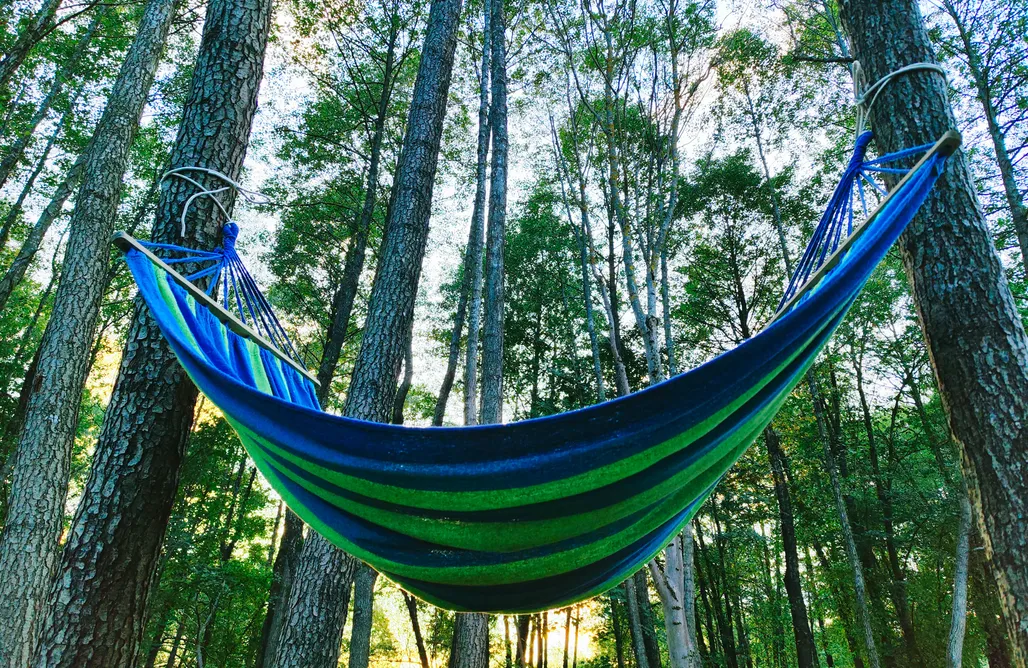 AlohaCamp Czaple Resort 1