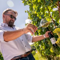 Marek propietario Miejsce kamperowe - Winnica Niemczańska i Hotel Niemcza Wino