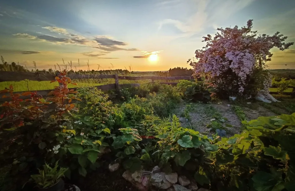 AlohaCamp Domek w Winnicy 1