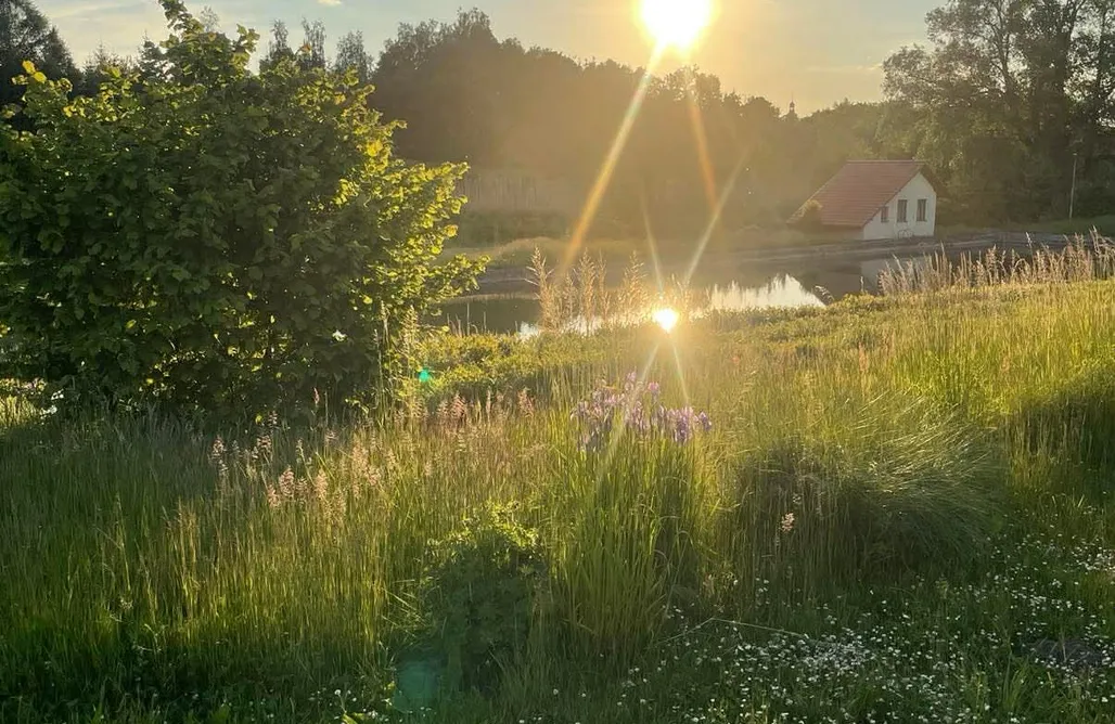 AlohaCamp Zielony Azyl w Krajence-działka na wynajem 4