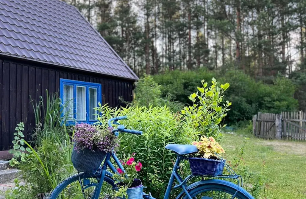 noclegi AlohaCamp 24mousehouse - Urokliwy domek w Borach Tucholskich 2