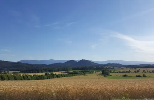 Zdjęcie obiektu Miejsce kamperowe i namiotowe - Dom Sokolik