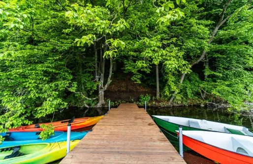 Zdjęcie obiektu Glamping - Gulbity Camp