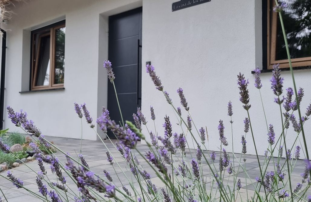 AlohaCamp La casa de los Kasa apartament 2 1