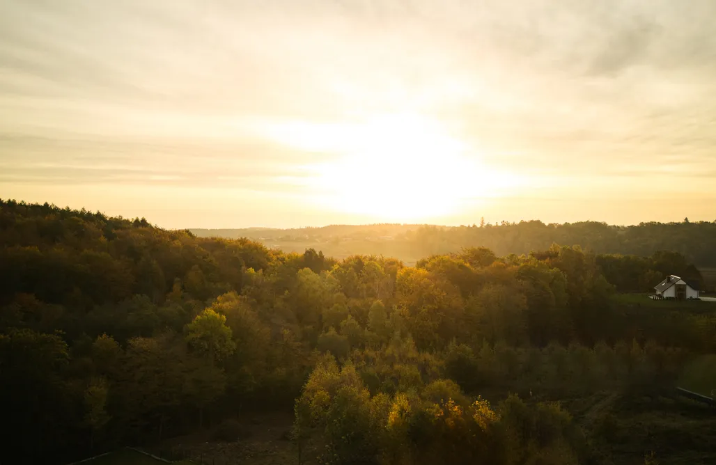 noclegi AlohaCamp Dzikie Domki z prywatną balią i sauną 4