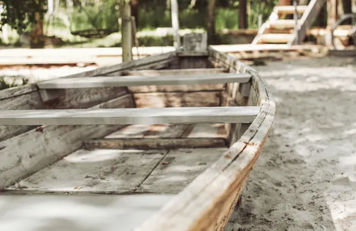 Zdjęcie obiektu DRZEWOstan