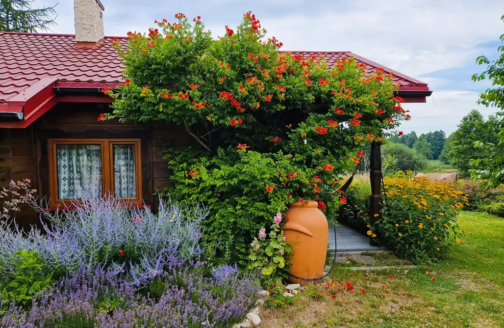 noclegi AlohaCamp Aura - uroczy drewniany domek na wsi 5