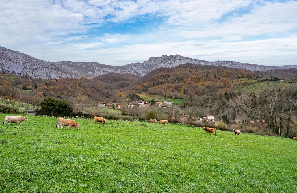 alojamientos AlohaCamp La Carrozal Senda del Oso 1