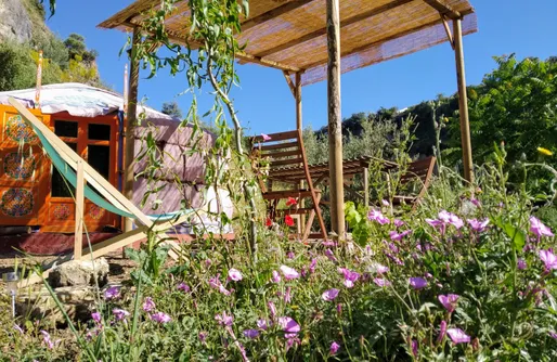 Imagen de La molina: Yurta