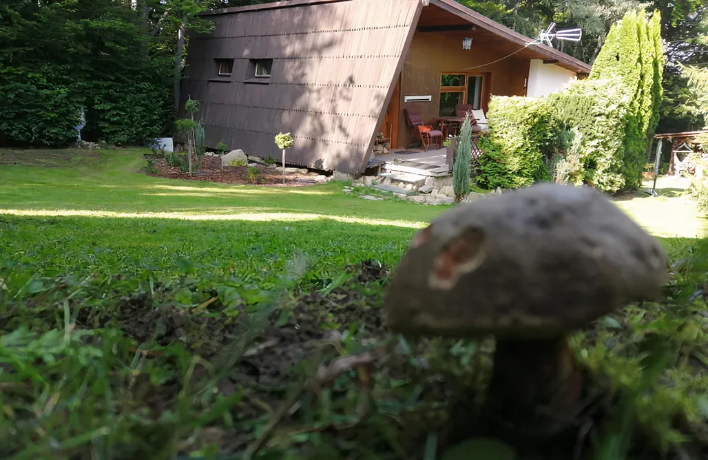 Domki Nad Jeziorem Żywieckim Chałpa na skarpie 2