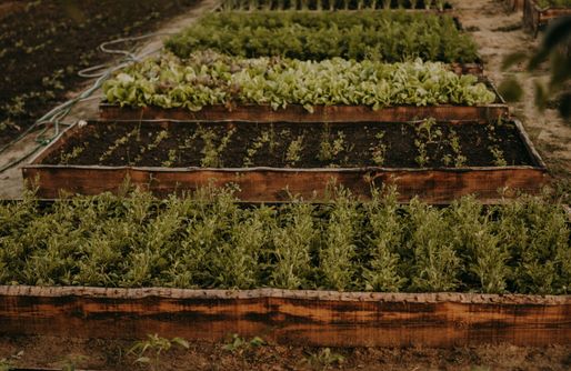 Zdjęcie obiektu Freedolina Glamping