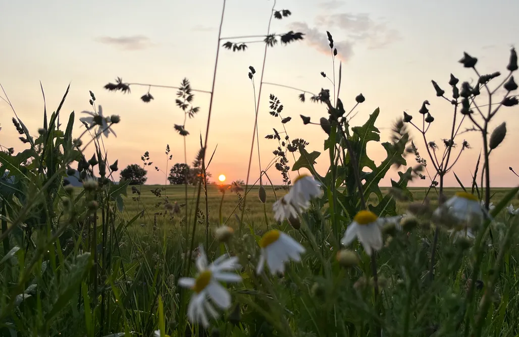 Tiny House Góry Sowie Przyczepa na Fyrtlu 1