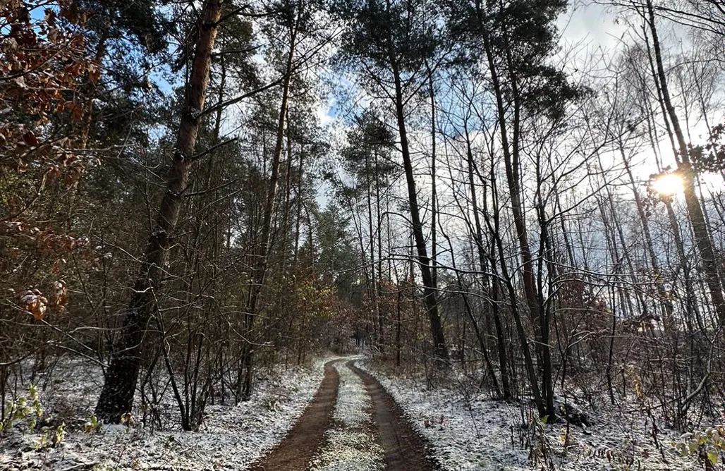 Alloggi AlohaCamp UKOI Mikrohotel przy winogronach - Tiny House z podniebnym oknem - Lucimia 1