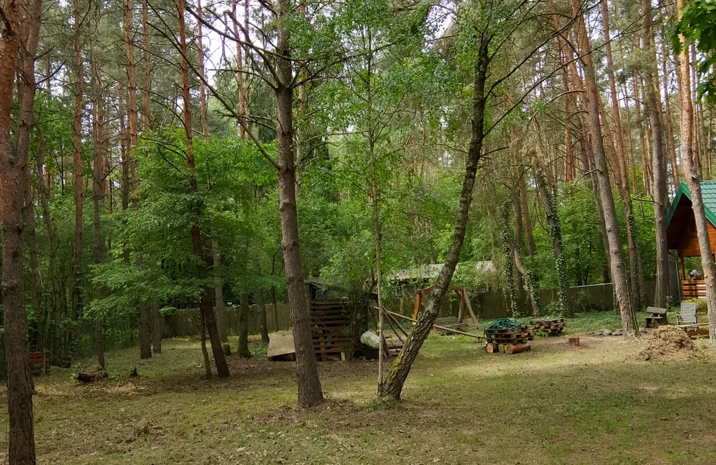 Romantyczny Weekend dla Dwojga Szumi... Szumi Las – prywatny dom w lesie z domkiem na drzewie 3