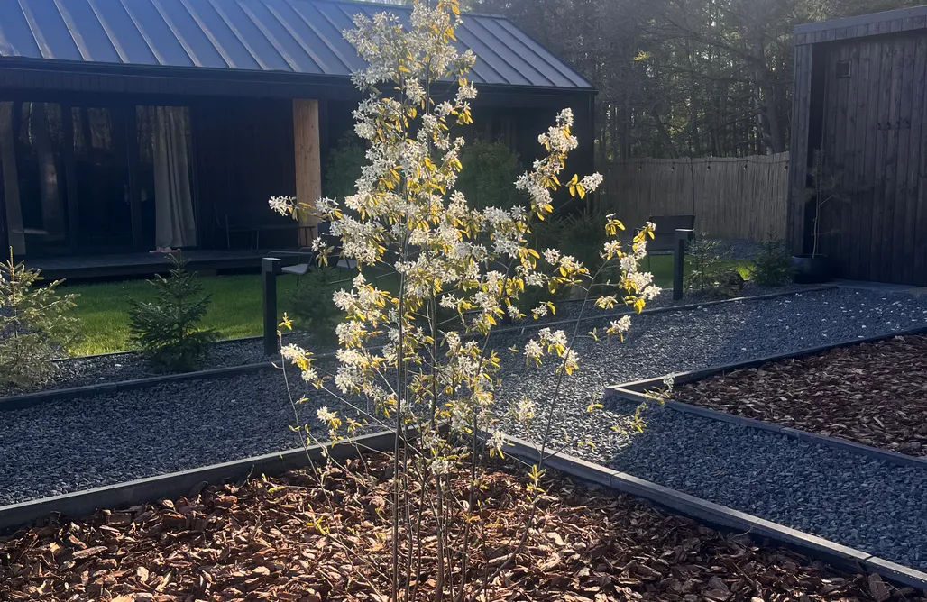 Wicie Domki MikroKlimat Premium 1