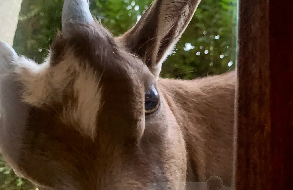 Wakacje First Minute Chambre d'hôtes de charme dans le vercors 1
