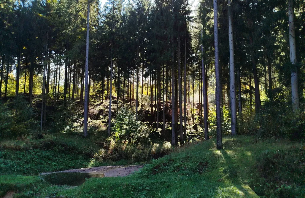 noclegi AlohaCamp Domek przy Rozpadlisku  5