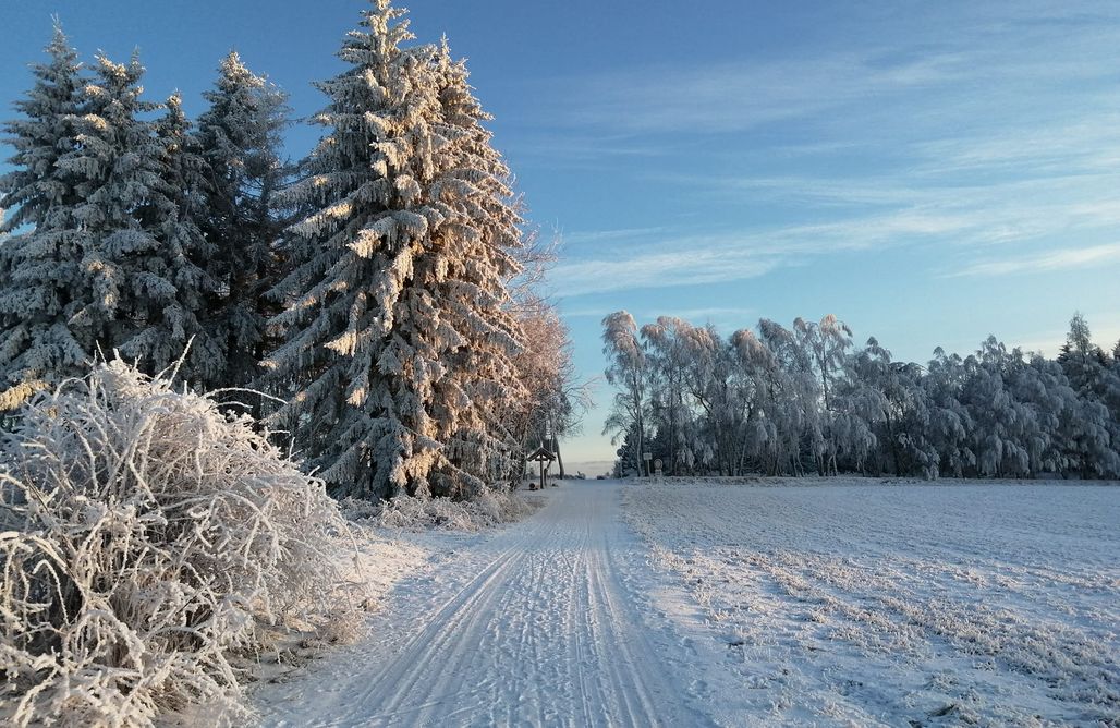 noclegi AlohaCamp Agroturystyka Taszówka 3
