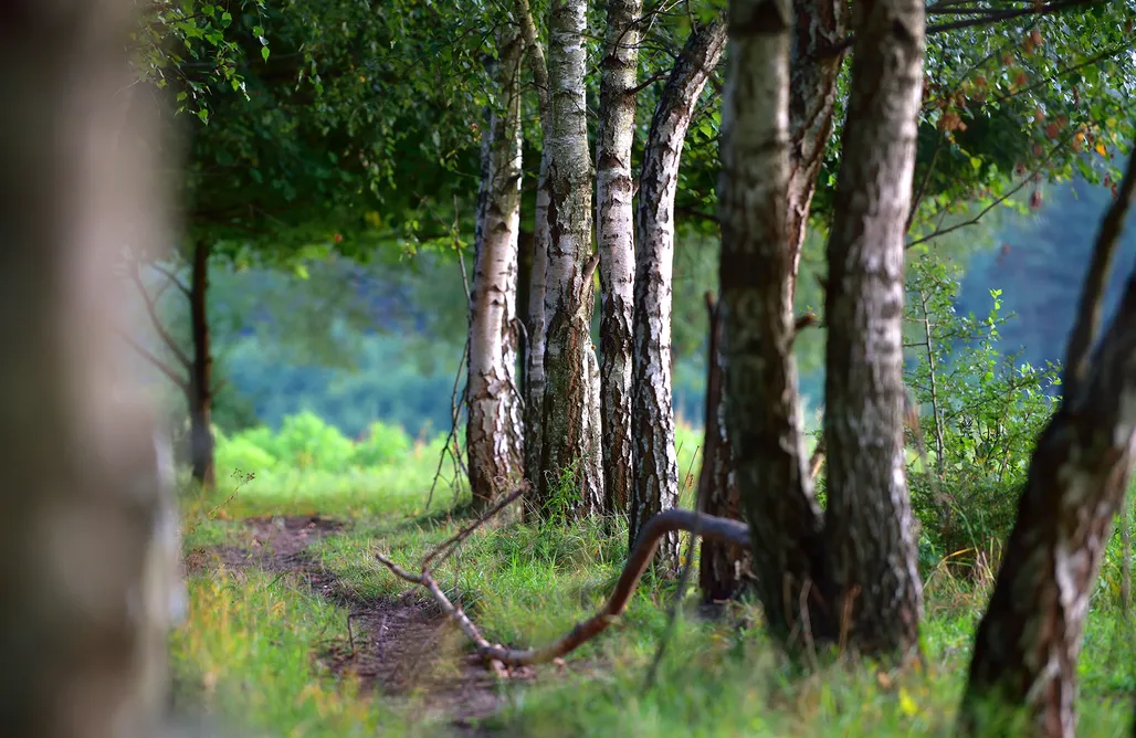 Unterkunft AlohaCamp Sielsko Anielsko Kaplityny 1
