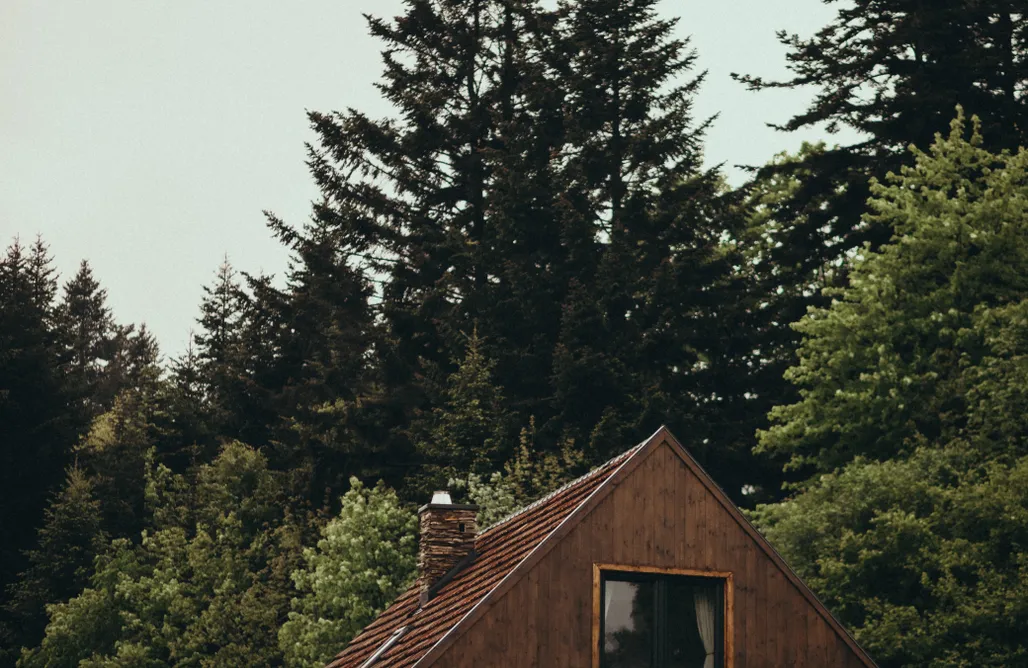 Kalnica Domki Mech i brzoza 3