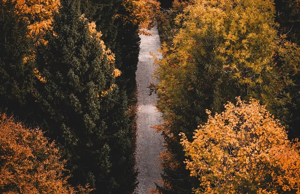 noclegi AlohaCamp OurHahn - Luxus Charlet 4