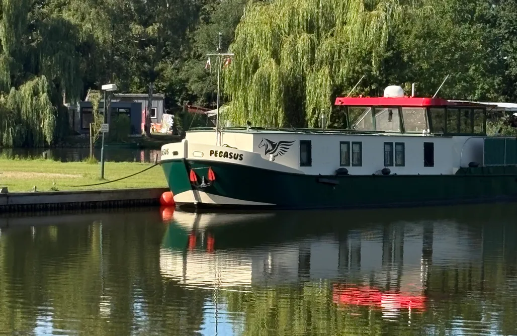 Unterkunft AlohaCamp „Haus Seeblick“ Tinyhouse mit Terrasse 4